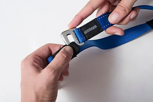 Rogz - Laisse Control Lead Anti-choc Pour Chien - Noir 6 Rogz - Laisse Control Lead Anti-choc Pour Chien - Noir – Image 4