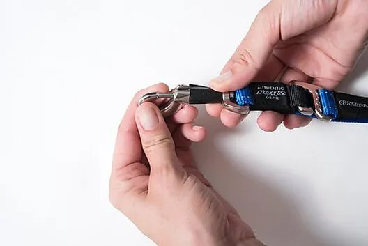 Rogz - Laisse Control Lead Anti-choc Pour Chien - Noir 4 Rogz - Laisse Control Lead Anti-choc Pour Chien - Noir – Image 2