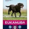 Eukanuba - Croquettes Mature 6+ Au Poulet Pour Chien Sénior De Grande Taille - 15Kg -nourriture pour chien Soldes 2023 26167