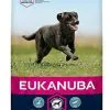Eukanuba - Croquettes Au Poulet Pour Chien Adulte De Grande Taille - 15Kg -nourriture pour chien Soldes 2023 26169