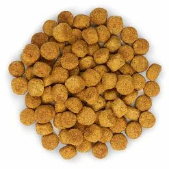 Hill's Science Plan - Croquettes Light Medium Adult Poulet Pour Chien - 12Kg -nourriture pour chien Soldes 2023 27919