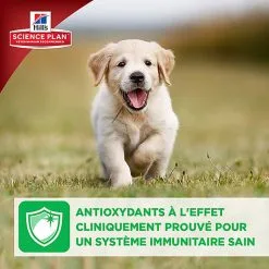 Hill's Science Plan - Croquettes Large Breed Au Poulet Pour Chiot - 16Kg -nourriture pour chien Soldes 2023 28029