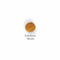 Hill's Science Plan - Croquettes Perfect Weight Large Adult Poulet Pour Chien - 12Kg -nourriture pour chien Soldes 2023 28075