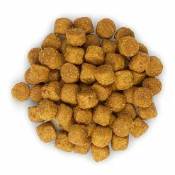 Hill's Science Plan - Croquettes à L'Agneau Et Riz Pour Chien - 12Kg 10 Hill's Science Plan - Croquettes à L'Agneau Et Riz Pour Chien - 12Kg -nourriture pour chien Soldes 2023 28559