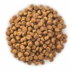 Hill's Science Plan - Croquettes Au Poulet Et Dinde Pour Chien Sénior De Petite Race 11 Hill's Science Plan - Croquettes Au Poulet Et Dinde Pour Chien Sénior De Petite Race -nourriture pour chien Soldes 2023 28573