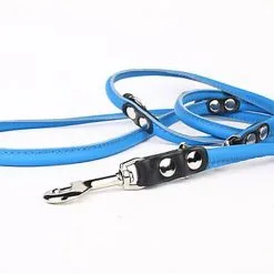 Yogipet - Laisse En Cuir Réglable 220cm Pour Chien - Bleu