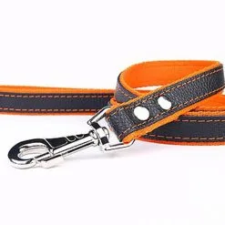 Yogipet - Laisse En Cuir Avec Nylon 120cm Pour Chien - Orange