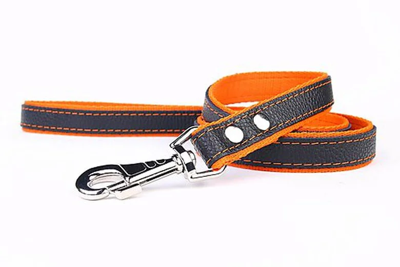 Yogipet - Laisse En Cuir Avec Nylon 120cm Pour Chien - Orange 3 Yogipet - Laisse En Cuir Avec Nylon 120cm Pour Chien - Orange