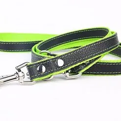 Yogipet - Laisse Réglable Cuir Nylon 220cm Pour Chien - Vert