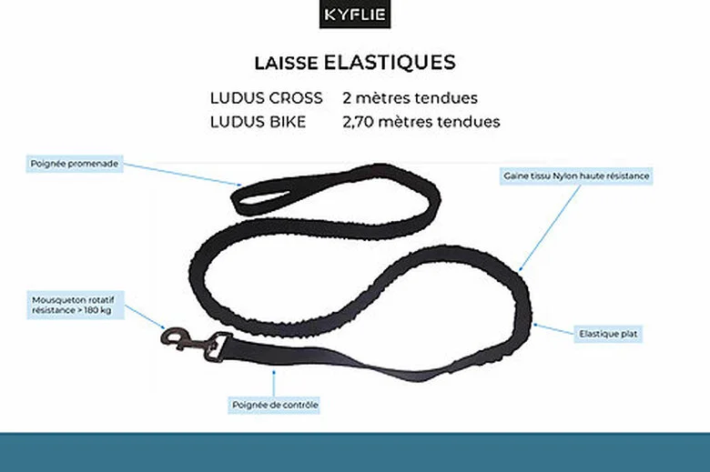 Kyflie - Laisse élastique Anti-chocs LUDUS BIKE Noir Pour Chien - 2,70m 4 Kyflie - Laisse élastique Anti-chocs LUDUS BIKE Noir Pour Chien - 2,70m – Image 2