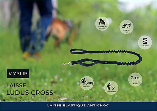 Kyflie - Laisse élastique Anti-chocs LUDUS CROSS Noir Pour Chien - 2m 5 Kyflie - Laisse élastique Anti-chocs LUDUS CROSS Noir Pour Chien - 2m – Image 3
