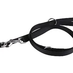 Animalis - Laisse Multifonction Basic 20mm Et 200cm Pour Chien - Noir