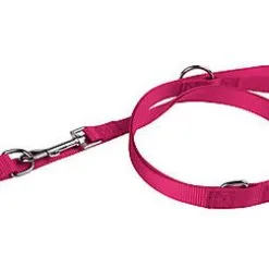 Animalis - Laisse Multifonction Basic 20mm Et 200cm Pour Chien - Fuchsia