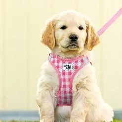 Curli - Harnais Veste Air-Mesh + Laisse En Rose Pour Chiot -nourriture pour chien Soldes 2023 40442