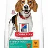Hill's Science Plan Hill's - Canine Adult Perfect Weight Medium Poulet Pour Chien - 2Kg 2 Hill's Science Plan Hill's - Canine Adult Perfect Weight Medium Poulet Pour Chien - 2Kg -nourriture pour chien Soldes 2023 40468