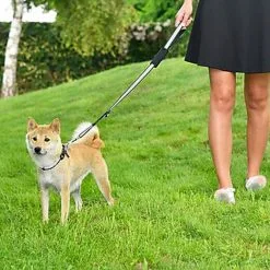 Bobby - Laisse Avec Attache Sécurité Voiture Rouge Pour Chien -nourriture pour chien Soldes 2023 40683 1