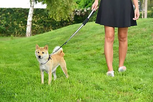 Bobby - Laisse Avec Attache Sécurité Voiture Fuchsia Pour Chien 5 Bobby - Laisse Avec Attache Sécurité Voiture Fuchsia Pour Chien – Image 3