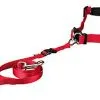 Trixie - Ceinture Ventrale Avec Laisse Pour Chien - Rouge -nourriture pour chien Soldes 2023 4069