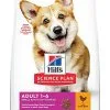 Hill's Science Plan - Croquettes Au Poulet Et Dinde Pour Chien De Petite Race 1 Hill's Science Plan - Croquettes Au Poulet Et Dinde Pour Chien De Petite Race -nourriture pour chien Soldes 2023 41166