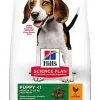 Hill's Science Plan - Croquettes Healthy Development Medium Puppy Poulet Pour Chiot - 12Kg 1 Hill's Science Plan - Croquettes Healthy Development Medium Puppy Poulet Pour Chiot - 12Kg -nourriture pour chien Soldes 2023 41190