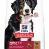 Hill's Science Plan - Croquettes à L'Agneau Et Riz Pour Chien De Grande Race - 12Kg -nourriture pour chien Soldes 2023 41193