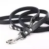 Yogipet - Laisse Ajustable 1,6/220cm Pour Chien - Noir -nourriture pour chien Soldes 2023 41936 1