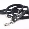 Yogipet - Laisse Ajustable 2/220cm Pour Chien - Noir -nourriture pour chien Soldes 2023 41936