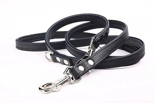 Yogipet - Laisse Ajustable 2/220cm Pour Chien - Noir 3 Yogipet - Laisse Ajustable 2/220cm Pour Chien - Noir