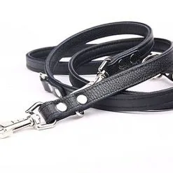 Yogipet - Laisse Ajustable 1,6/220cm Pour Chien - Noir 8 Yogipet - Laisse Ajustable 1,6/220cm Pour Chien - Noir -nourriture pour chien Soldes 2023 41937 1