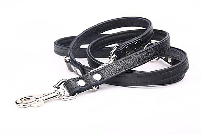 Yogipet - Laisse Ajustable 1,6/220cm Pour Chien - Noir 5 Yogipet - Laisse Ajustable 1,6/220cm Pour Chien - Noir – Image 3