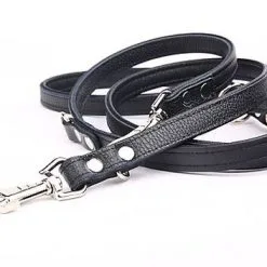 Yogipet - Laisse Ajustable 2/220cm Pour Chien - Noir 8 Yogipet - Laisse Ajustable 2/220cm Pour Chien - Noir -nourriture pour chien Soldes 2023 41937