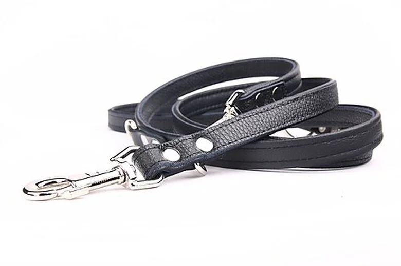 Yogipet - Laisse Ajustable 1,6/220cm Pour Chien - Noir 6 Yogipet - Laisse Ajustable 1,6/220cm Pour Chien - Noir – Image 4