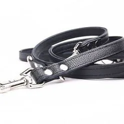 Yogipet - Laisse Ajustable 2/220cm Pour Chien - Noir 9 Yogipet - Laisse Ajustable 2/220cm Pour Chien - Noir -nourriture pour chien Soldes 2023 41938
