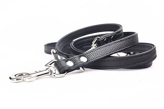 Yogipet - Laisse Ajustable 2/220cm Pour Chien - Noir 6 Yogipet - Laisse Ajustable 2/220cm Pour Chien - Noir – Image 4