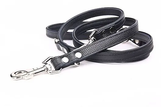 Yogipet - Laisse Ajustable 2/220cm Pour Chien - Noir 4 Yogipet - Laisse Ajustable 2/220cm Pour Chien - Noir – Image 2