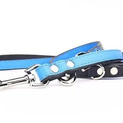 Yogipet - Laisse Ajustable 2/220cm Pour Chien - Bleu -nourriture pour chien Soldes 2023 41941 1