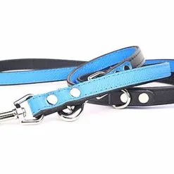 Yogipet - Laisse Ajustable 2/220cm Pour Chien - Bleu -nourriture pour chien Soldes 2023 41942 1
