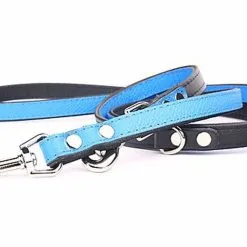 Yogipet - Laisse Ajustable 1,6/220cm Pour Chien - Bleu -nourriture pour chien Soldes 2023 41942