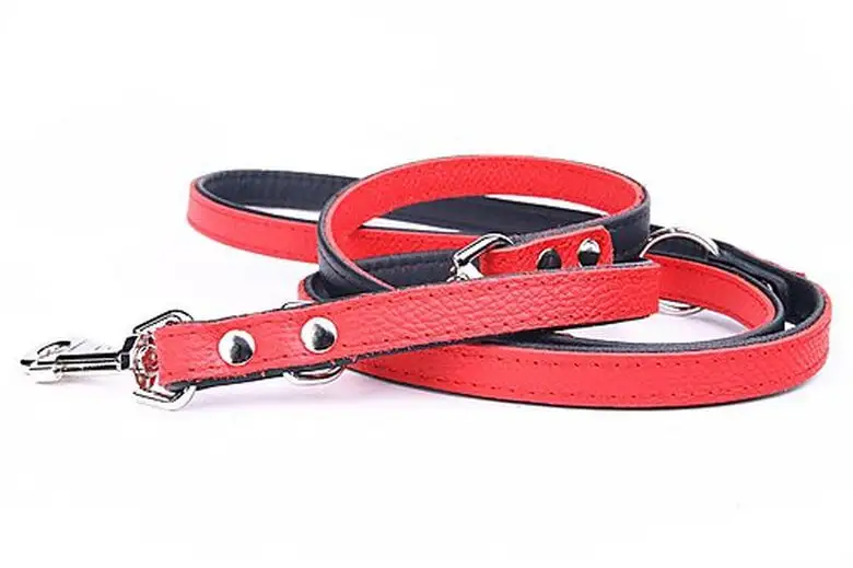 Yogipet - Laisse Ajustable 2/220cm Pour Chien - Rouge 4 Yogipet - Laisse Ajustable 2/220cm Pour Chien - Rouge – Image 2