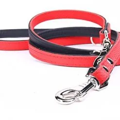 Yogipet - Laisse Ajustable 2/220cm Pour Chien - Rouge