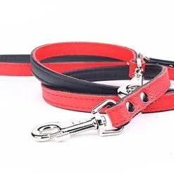 Yogipet - Laisse Ajustable 2/220cm Pour Chien - Rouge 9 Yogipet - Laisse Ajustable 2/220cm Pour Chien - Rouge -nourriture pour chien Soldes 2023 41946 1