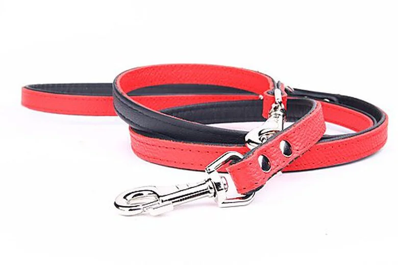 Yogipet - Laisse Ajustable 1,6/220cm Pour Chien - Rouge 5 Yogipet - Laisse Ajustable 1,6/220cm Pour Chien - Rouge – Image 3