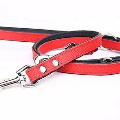 Yogipet - Laisse Ajustable 2/220cm Pour Chien - Rouge 11 Yogipet - Laisse Ajustable 2/220cm Pour Chien - Rouge -nourriture pour chien Soldes 2023 41947 1