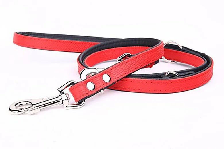 Yogipet - Laisse Ajustable 1,6/220cm Pour Chien - Rouge 7 Yogipet - Laisse Ajustable 1,6/220cm Pour Chien - Rouge – Image 5