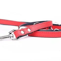 Yogipet - Laisse Ajustable 2/220cm Pour Chien - Rouge 10 Yogipet - Laisse Ajustable 2/220cm Pour Chien - Rouge -nourriture pour chien Soldes 2023 41948 1