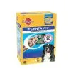 Pedigree - Friandises Dentastix Pour Chien De Grande Taille - X28 2 Pedigree - Friandises Dentastix Pour Chien De Grande Taille - X28 -nourriture pour chien Soldes 2023 4345