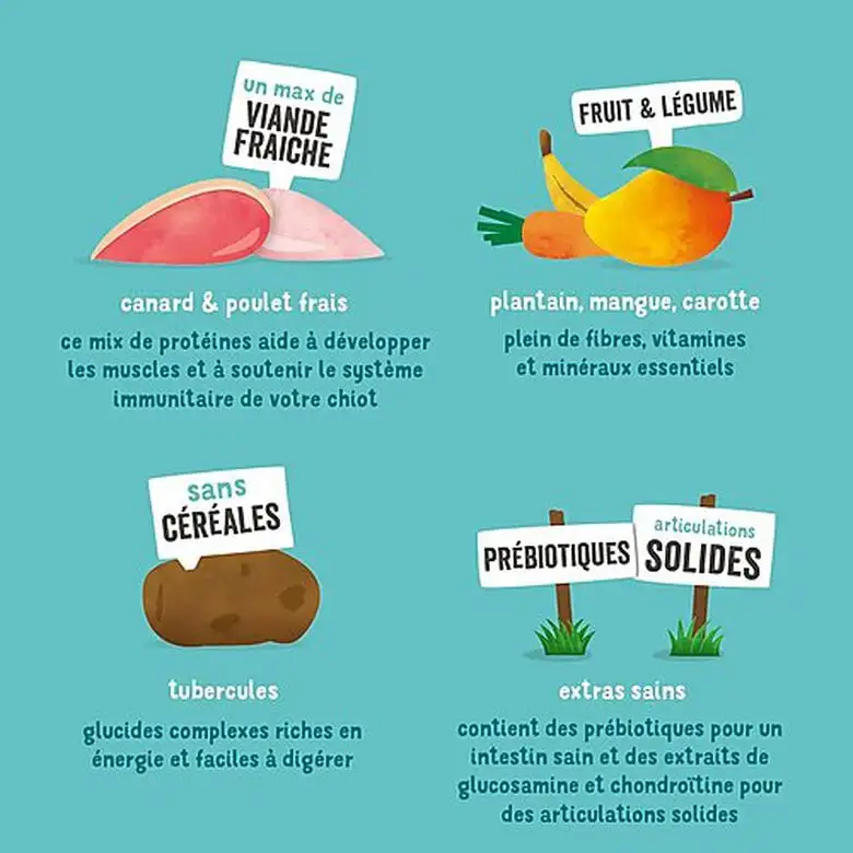 Edgard & Cooper - Croquettes Au Canard Et Poulet Pour Chiot - 2,5Kg 7 Edgard & Cooper - Croquettes Au Canard Et Poulet Pour Chiot - 2,5Kg – Image 5