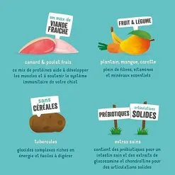 Edgard & Cooper - Croquettes Naturelles Sans Céréales Canard Et Poulet Frais Pour Chiot - 12Kg -nourriture pour chien Soldes 2023 46550