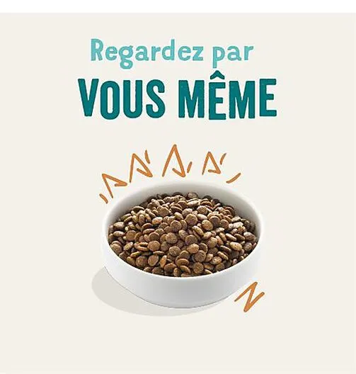 Edgard & Cooper - Croquettes Au Poulet Pour Chien - 12Kg 4 Edgard & Cooper - Croquettes Au Poulet Pour Chien - 12Kg – Image 2