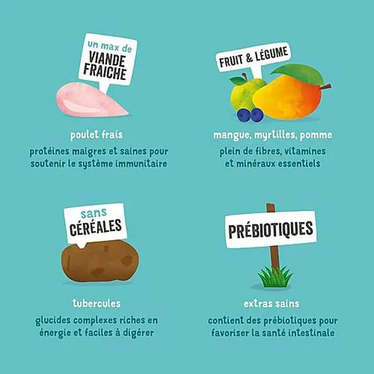 Edgard & Cooper - Croquettes Au Poulet Pour Chien - 12Kg 7 Edgard & Cooper - Croquettes Au Poulet Pour Chien - 12Kg – Image 5